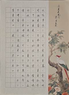 图示, 示意图&#10;&#10;中度可信度描述已自动生成:ver1