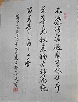 图示, 示意图&#10;&#10;中度可信度描述已自动生成:ver1
